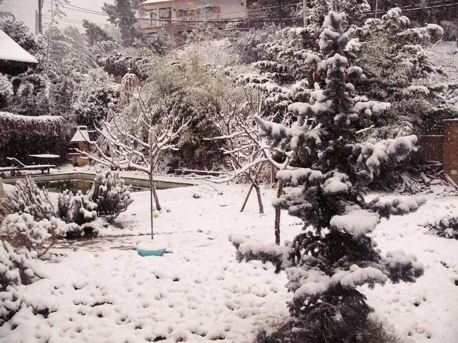 L'amagatall Del Montnegre Chalet